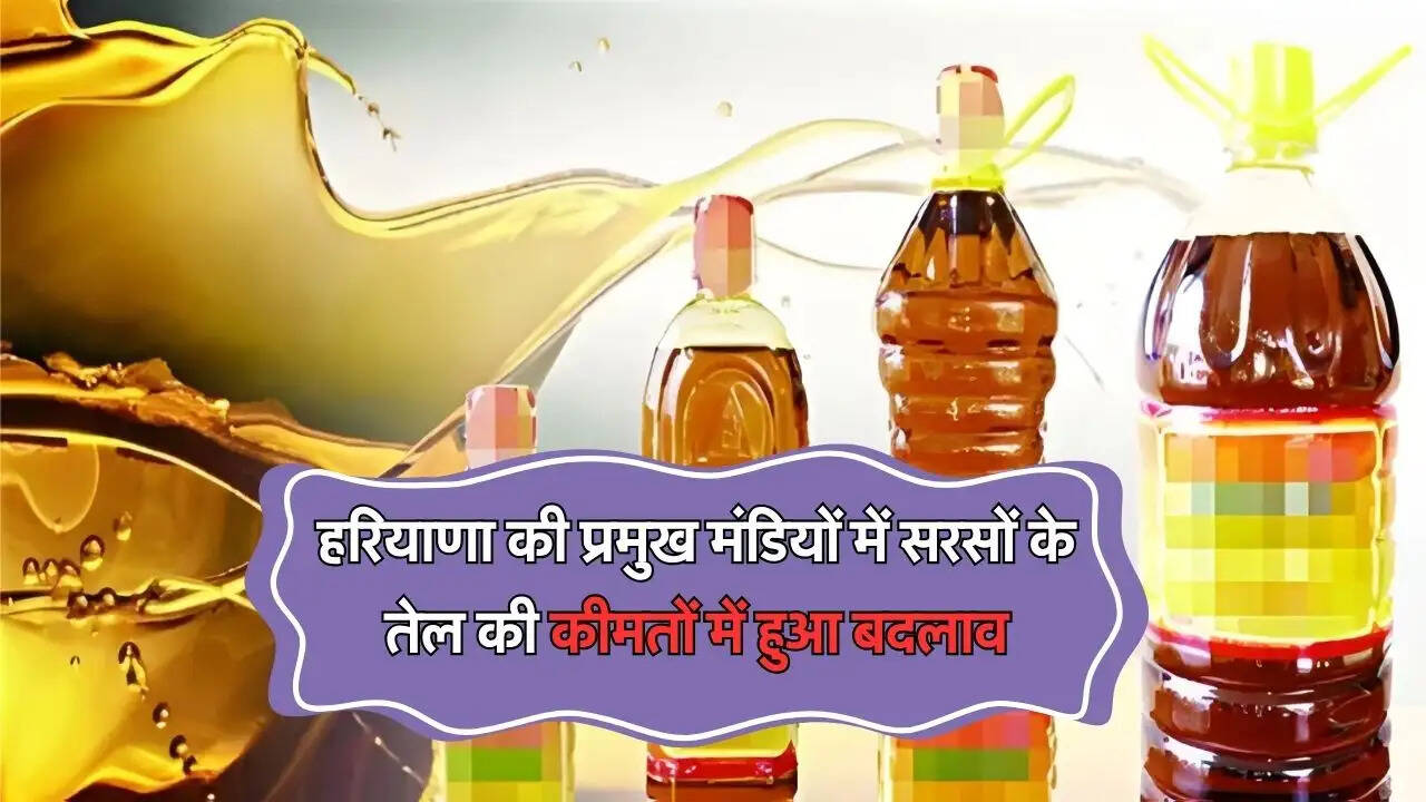 हरियाणा की प्रमुख मंडियों में सरसों के तेल की कीमतों में हुआ बदलाव