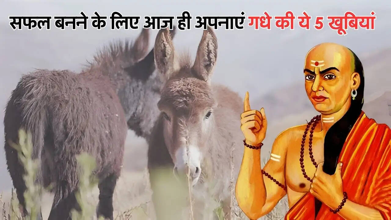 सफल बनने के लिए आज ही अपनाएं गधे की ये 5 खूबियां