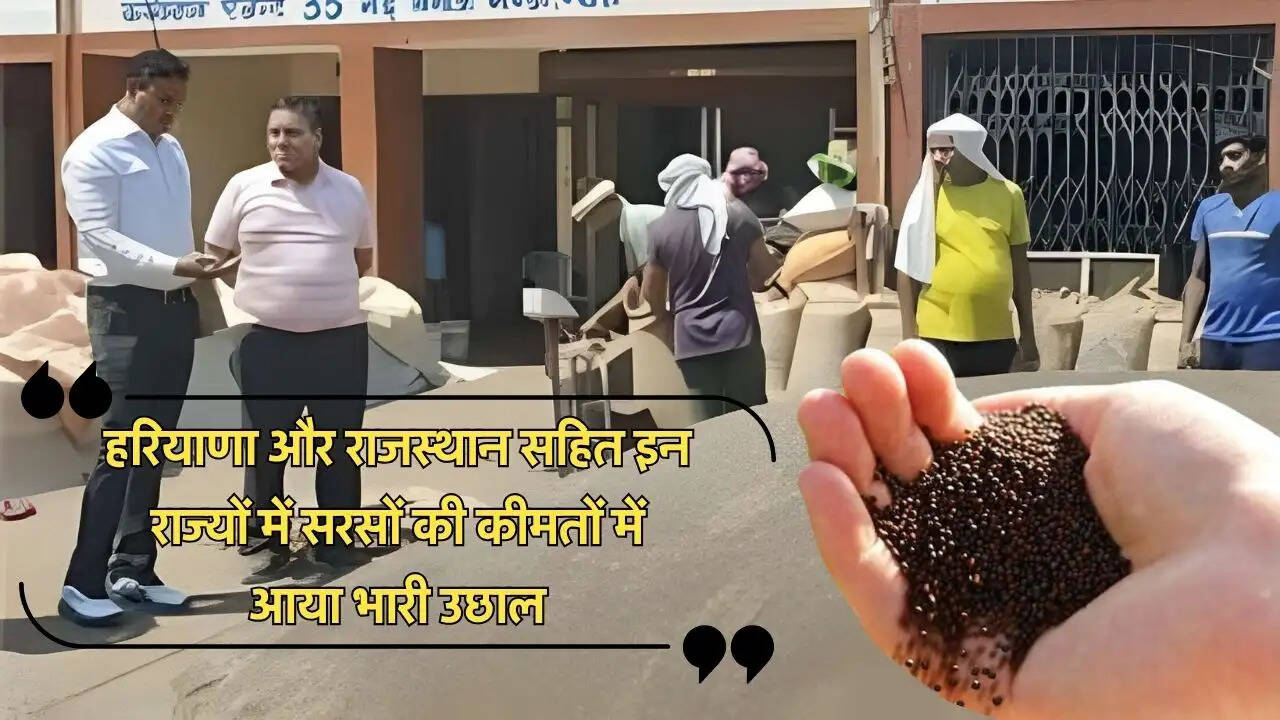 हरियाणा और राजस्थान सहित इन राज्यों में सरसों की कीमतों में आया भारी उछाल