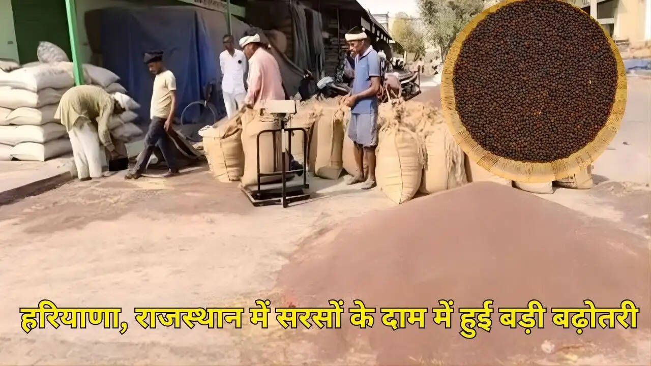 हरियाणा, राजस्थान में सरसों के दाम में हुई बड़ी बढ़ोतरी