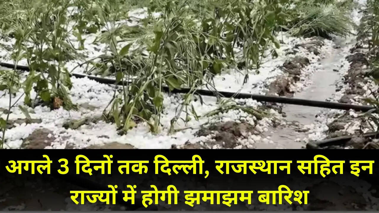 अगले 3 दिनों तक दिल्ली, राजस्थान सहित इन राज्यों में होगी झमाझम बारिश