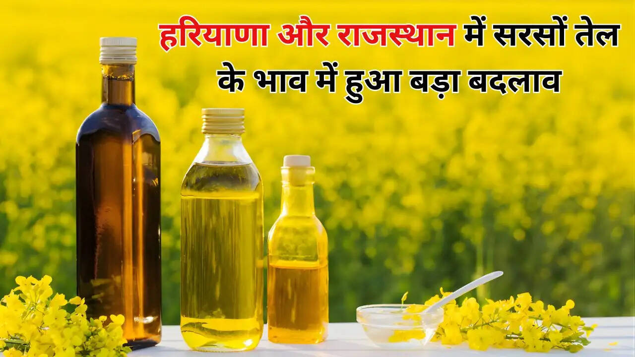 हरियाणा और राजस्थान में सरसों तेल के भाव में हुआ बड़ा बदलाव