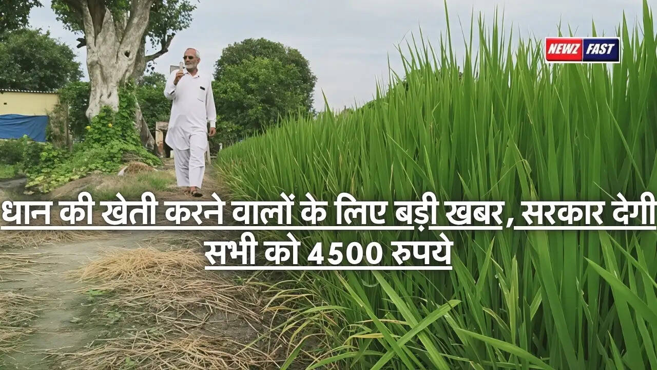 Haryana Kisan News : धान की खेती करने वालों के लिए बड़ी खबर, सरकार देगी सभी को 4500 रुपये
