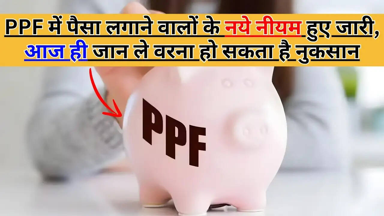 PPF Investment 