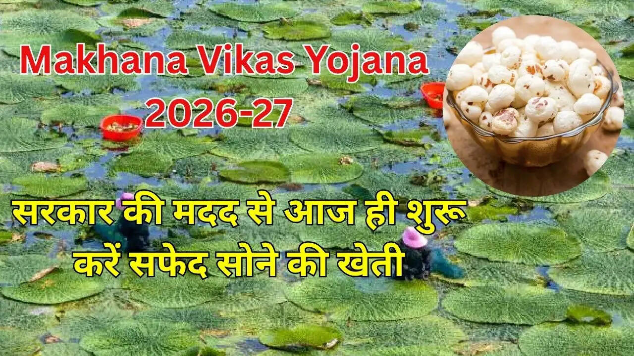 सरकार की मदद से आज ही शुरू करें सफेद सोने की खेती