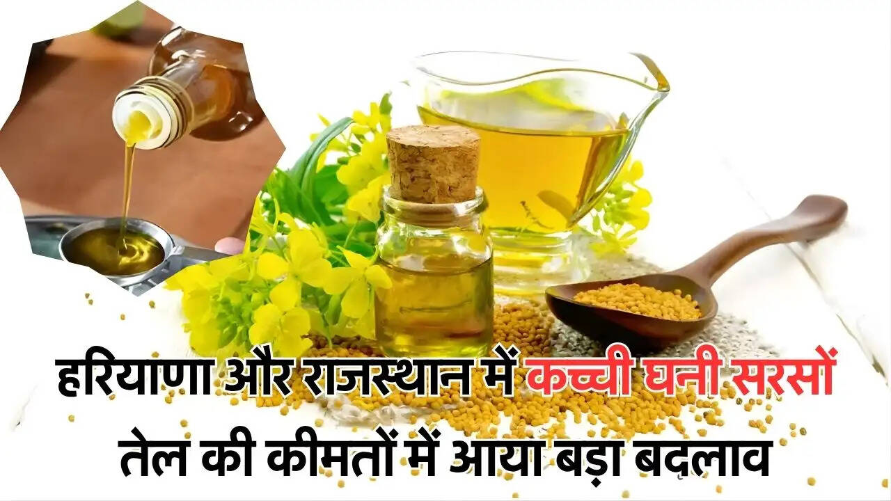 हरियाणा और राजस्थान में कच्ची घनी सरसों तेल की कीमतों में आया बड़ा बदलाव