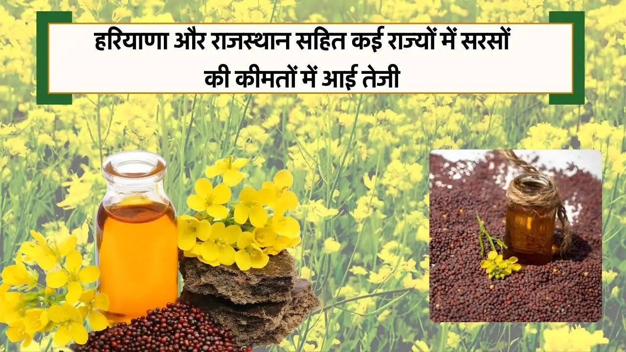 हरियाणा और राजस्थान सहित कई राज्यों में सरसों की कीमतों में आई तेजी