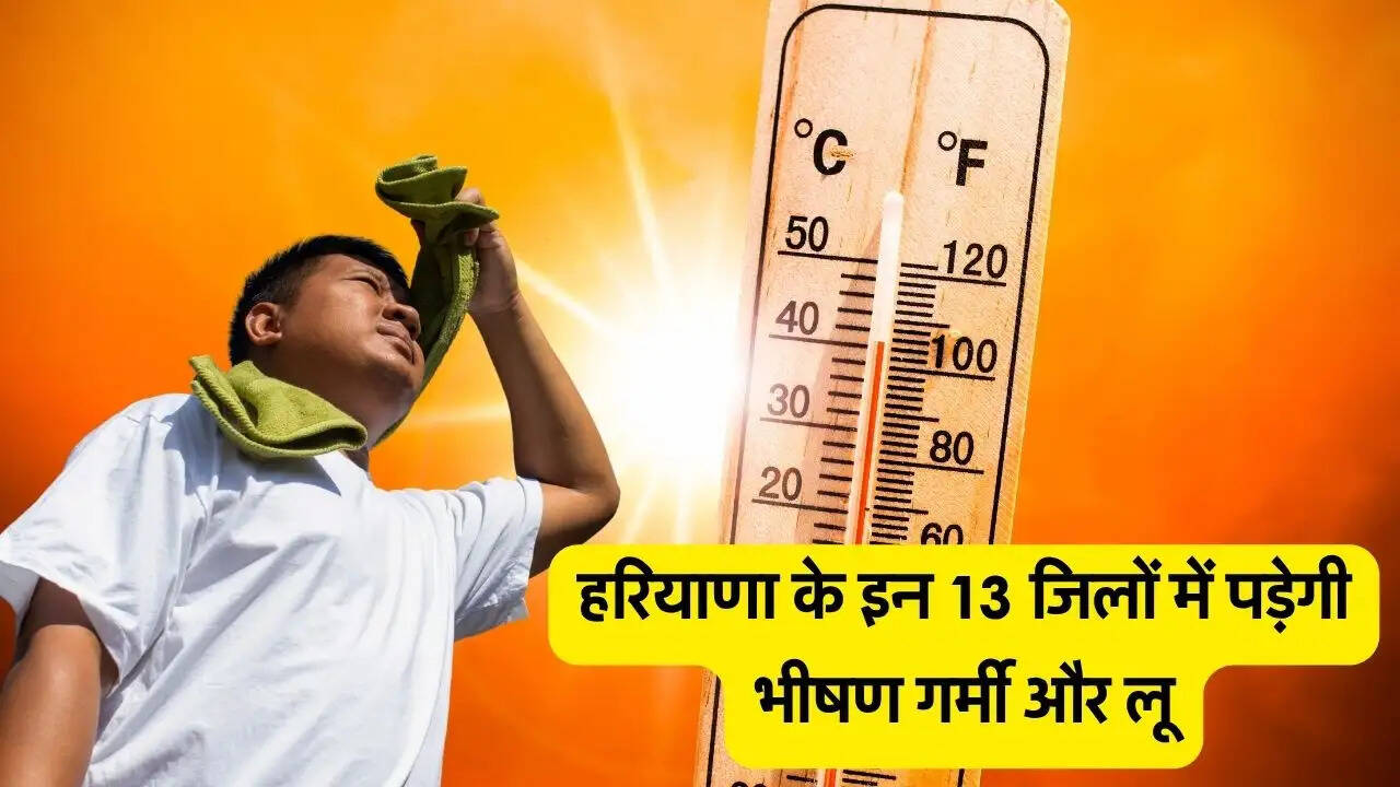 हरियाणा के इन 13 जिलों में पड़ेगी भीषण गर्मी और लू