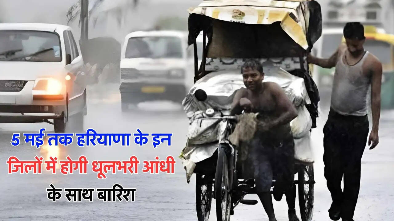 5 मई तक हरियाणा के इन जिलों में होगी धूलभरी आंधी के साथ बारिश