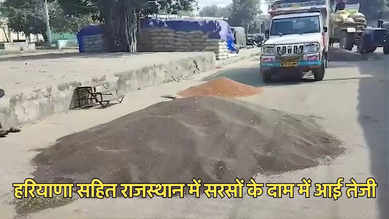 हरियाणा सहित राजस्थान में सरसों के दाम में आई तेजी