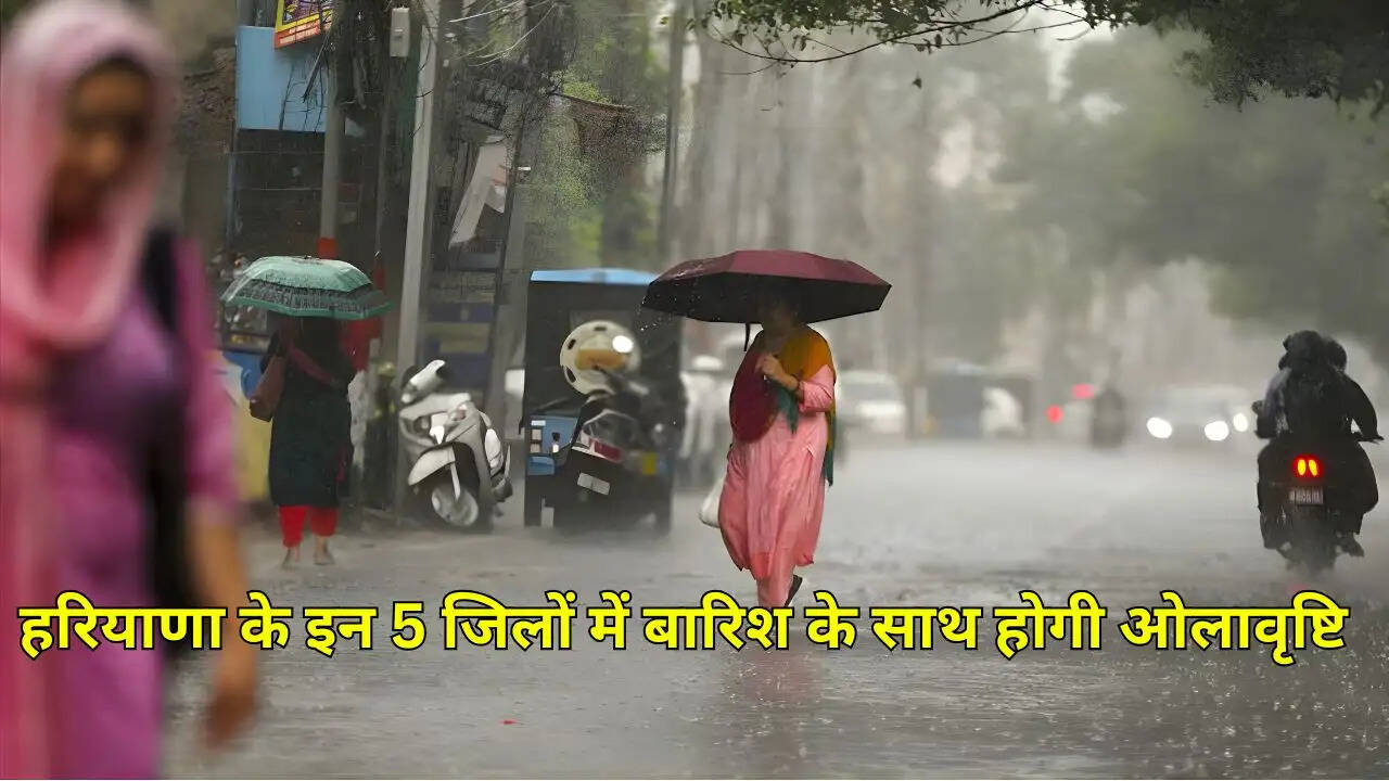 हरियाणा के इन 5 जिलों में बारिश के साथ होगी ओलावृष्टि