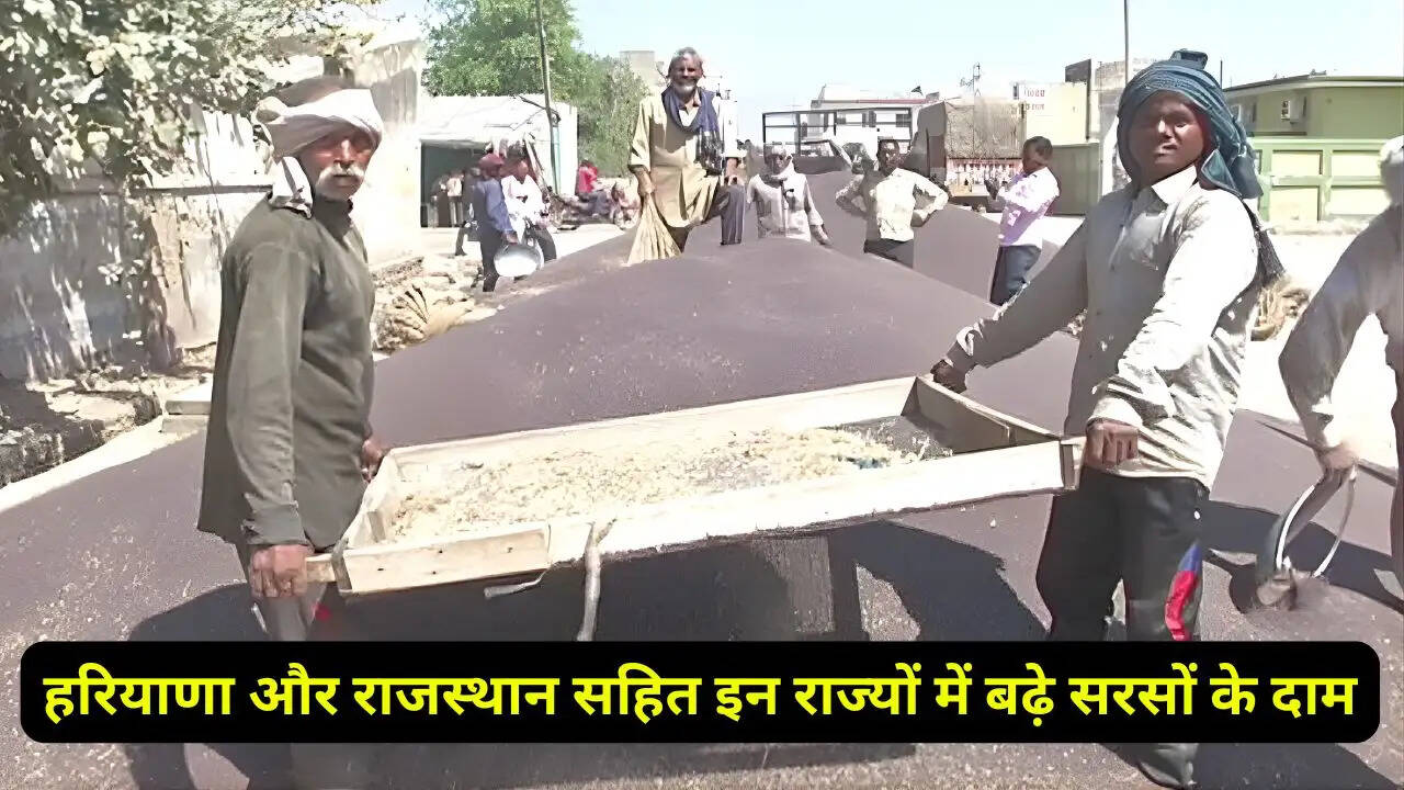 हरियाणा और राजस्थान सहित इन राज्यों में बढ़े सरसों के दाम